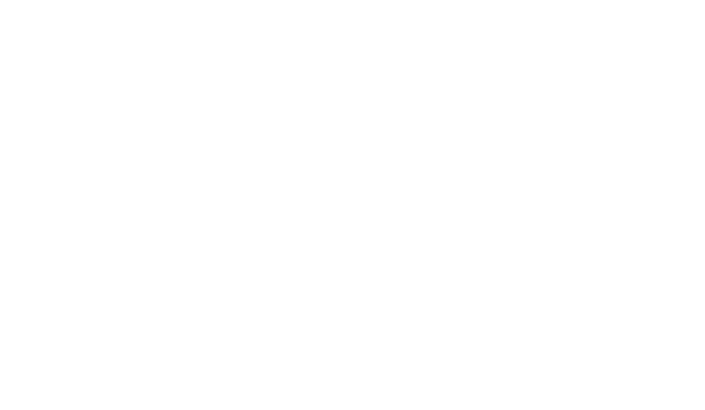 True North Management